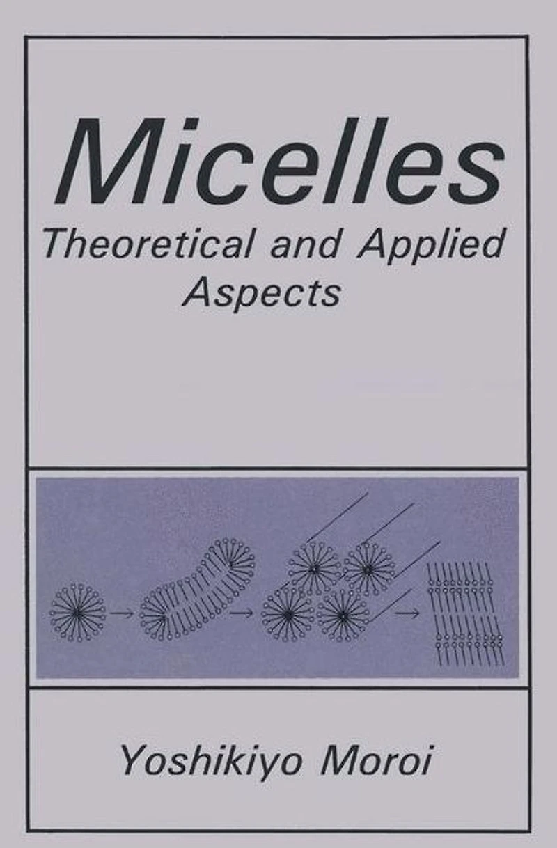 Micelles: Theoretical and Applied Aspects