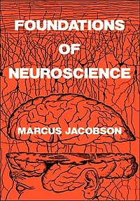 Foundations of Neuroscience