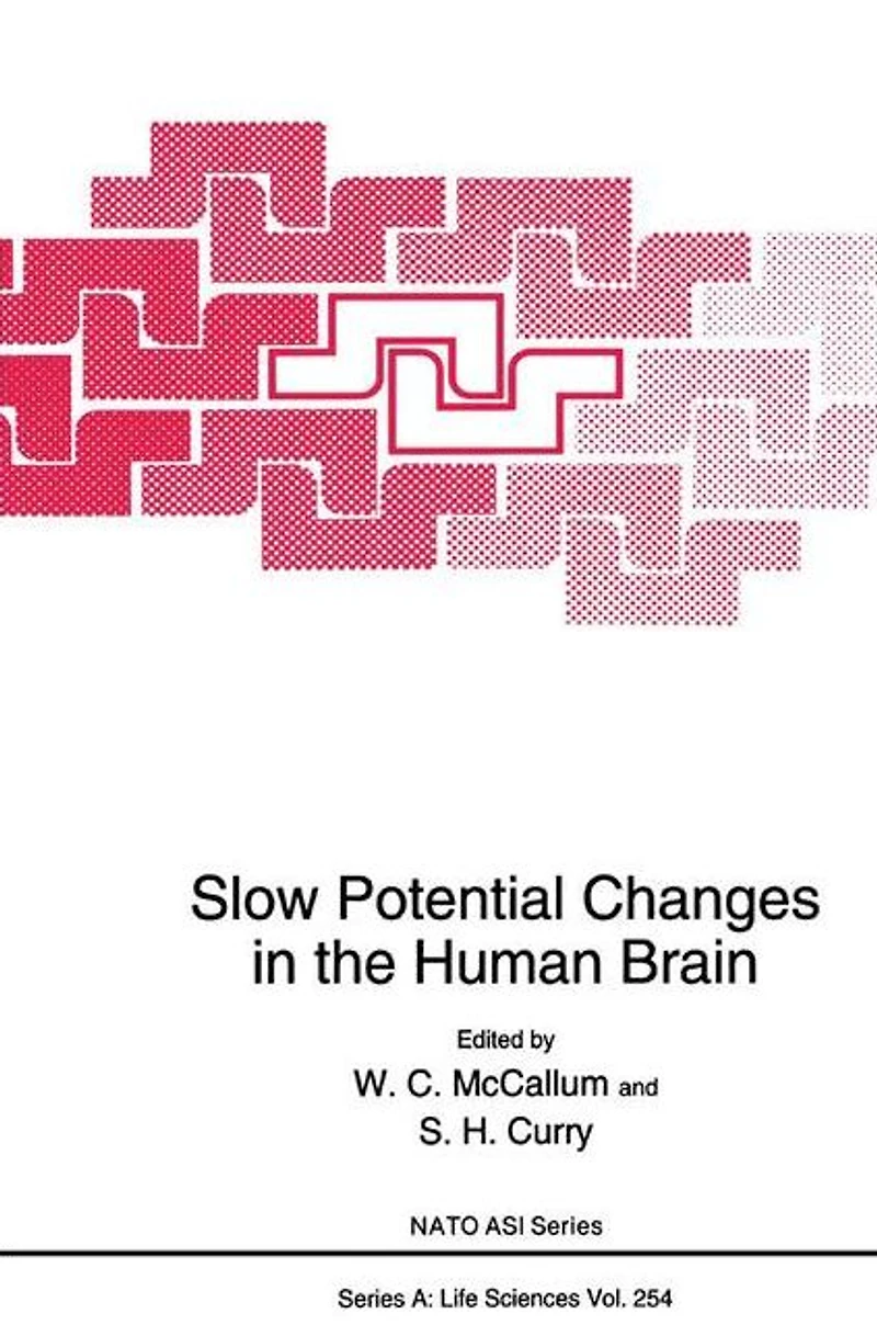 Slow Potential Changes the Human Brain