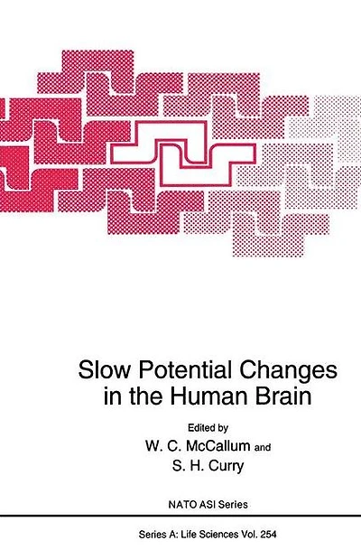 Slow Potential Changes the Human Brain