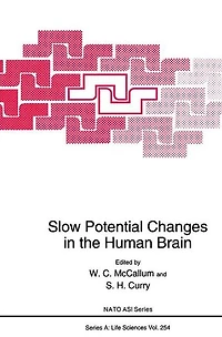 Slow Potential Changes the Human Brain
