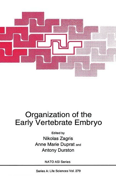 Organization of the Early Vertebrate Embryo