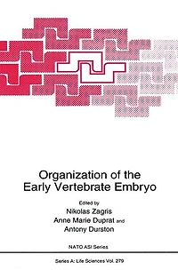 Organization of the Early Vertebrate Embryo
