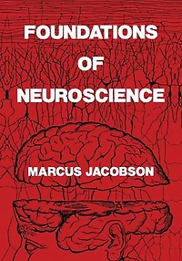 Foundations of Neuroscience