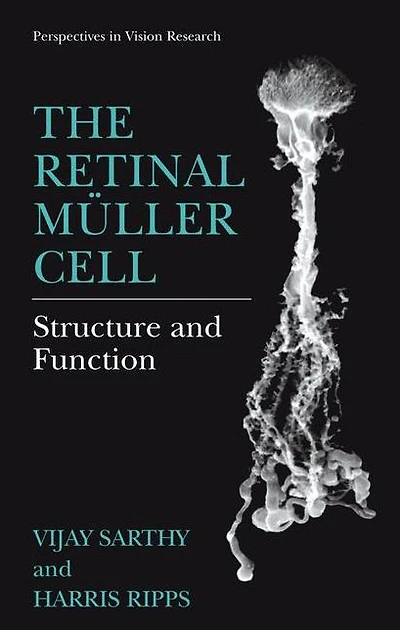 The Retinal Müller Cell: Structure and Function
