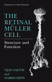 The Retinal Müller Cell: Structure and Function