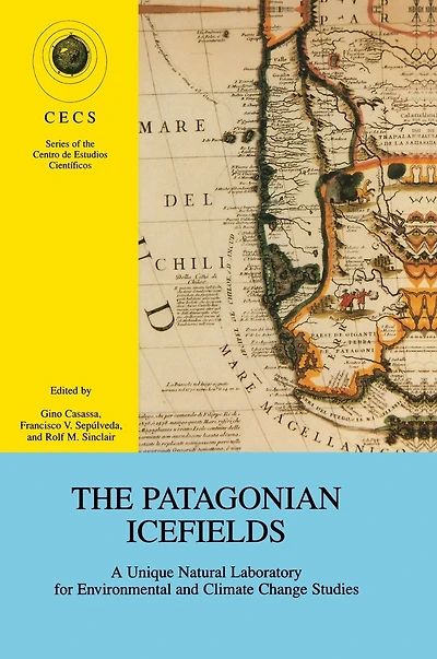 Patagonian Icefields: A Unique Natural Laboratory for Environmental and Climate Change Studies