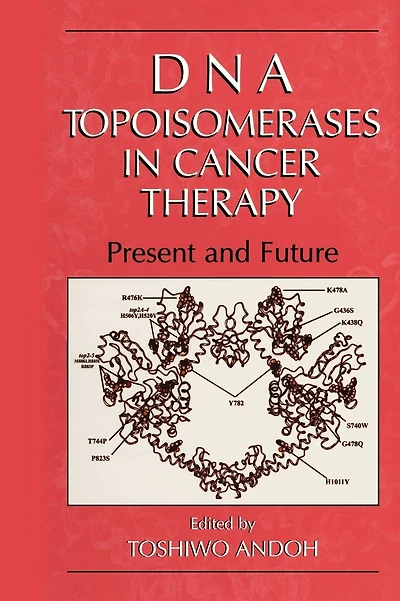 DNA Topoisomerases Cancer Therapy: Present and Future