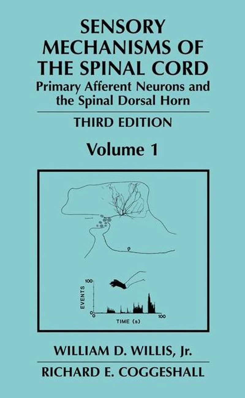 Sensory Mechanisms of the Spinal Cord: Volume 1 Primary Afferent Neurons and Dorsal Horn