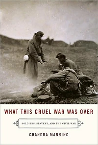 What This Cruel War Was Over: Soldiers, Slavery, and the Civil