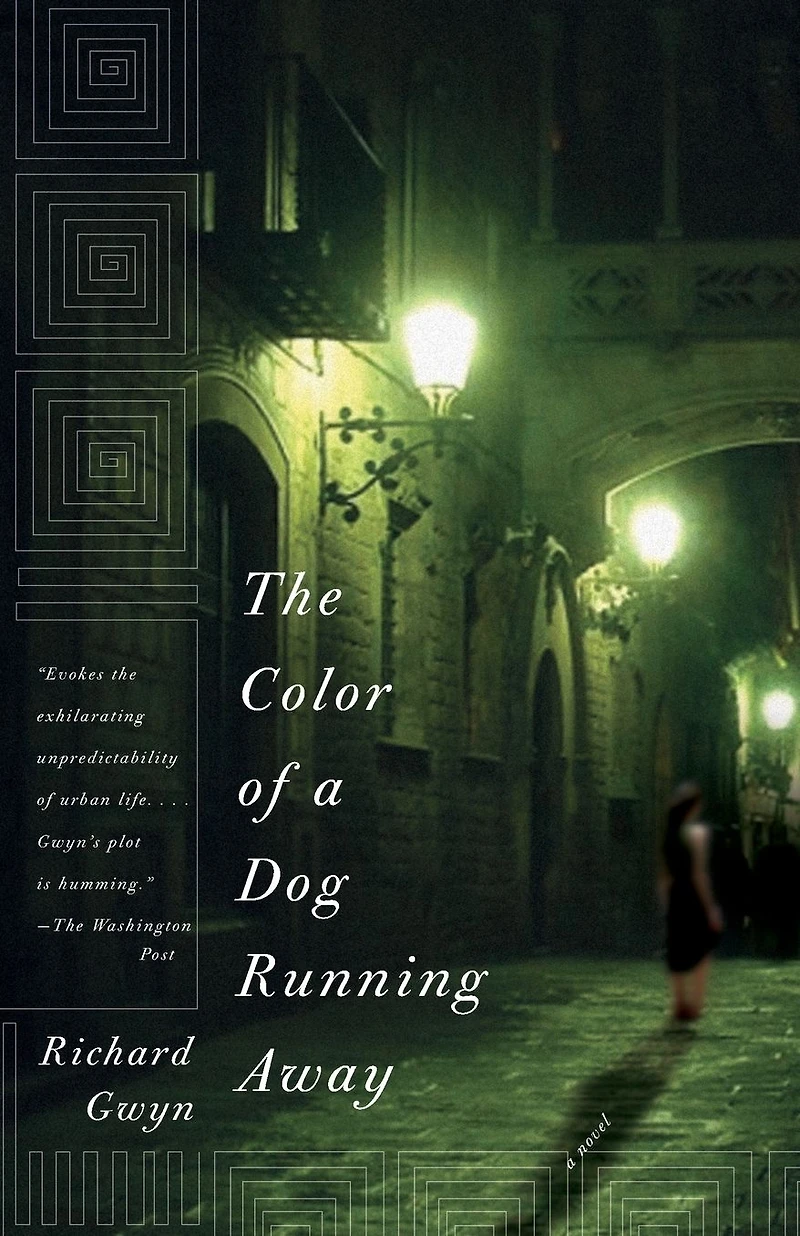 Color of a Dog Running Away