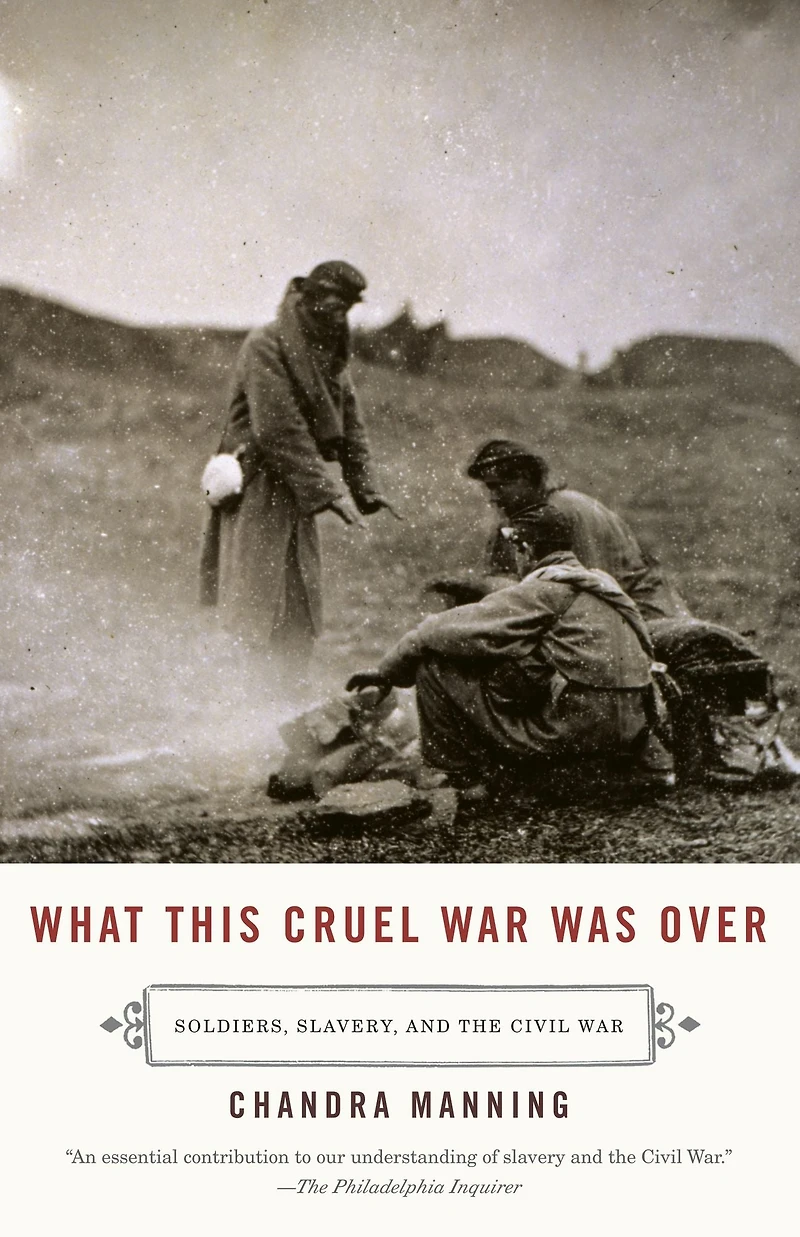 What This Cruel War Was Over: Soldiers, Slavery, and the Civil