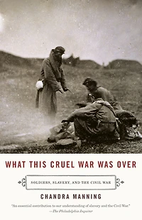 What This Cruel War Was Over: Soldiers, Slavery, and the Civil