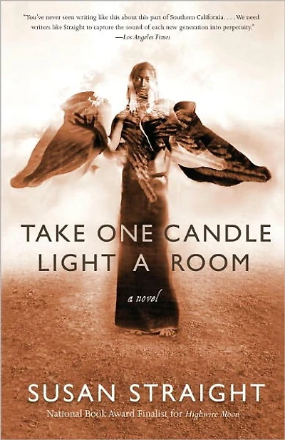Take One Candle Light A Room: Novel