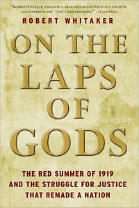 On the Laps of Gods: Red Summer 1919 and Struggle for Justice That Remade a Nation
