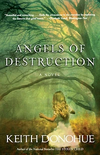 Angels of Destruction: A Novel