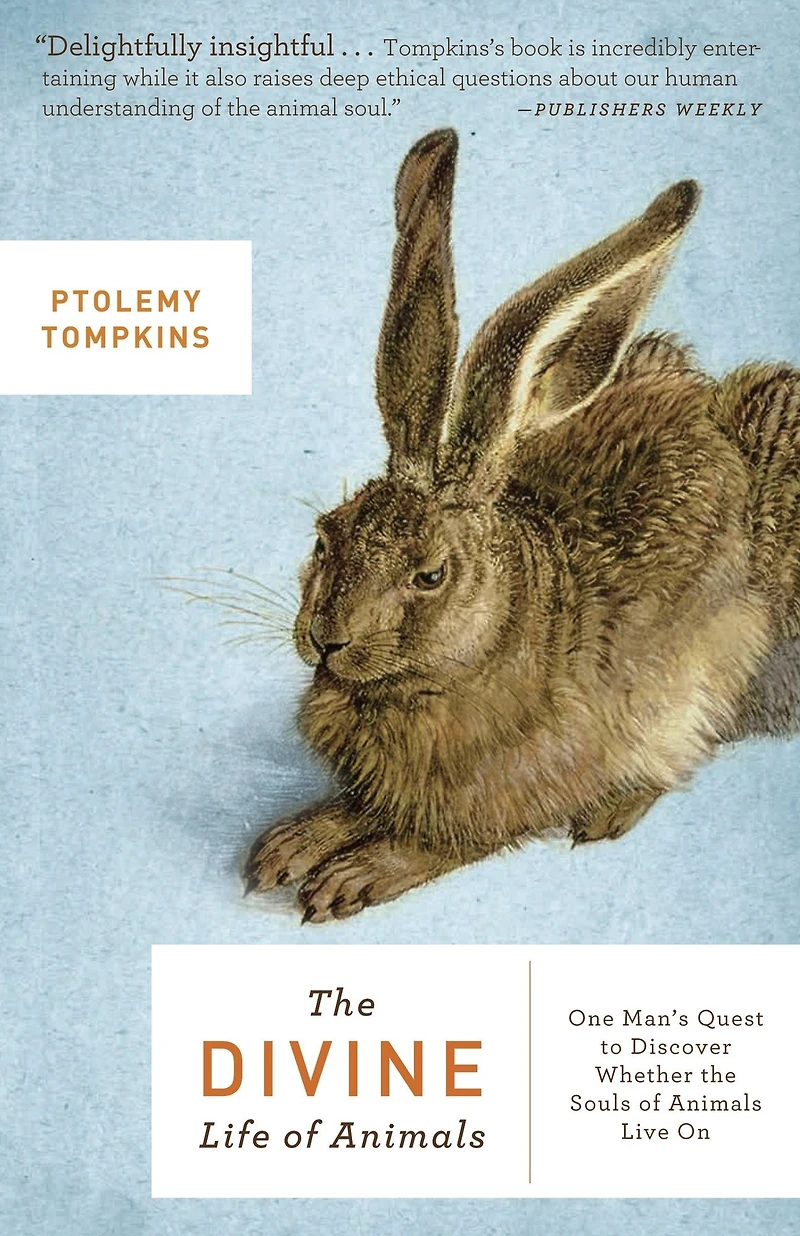 the Divine Life of Animals: One Man's Quest to Discover Whether Souls Animals Live On