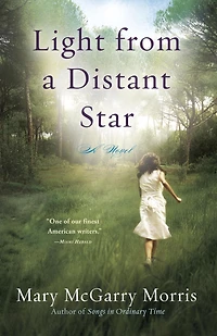 Light from A Distant Star: Novel
