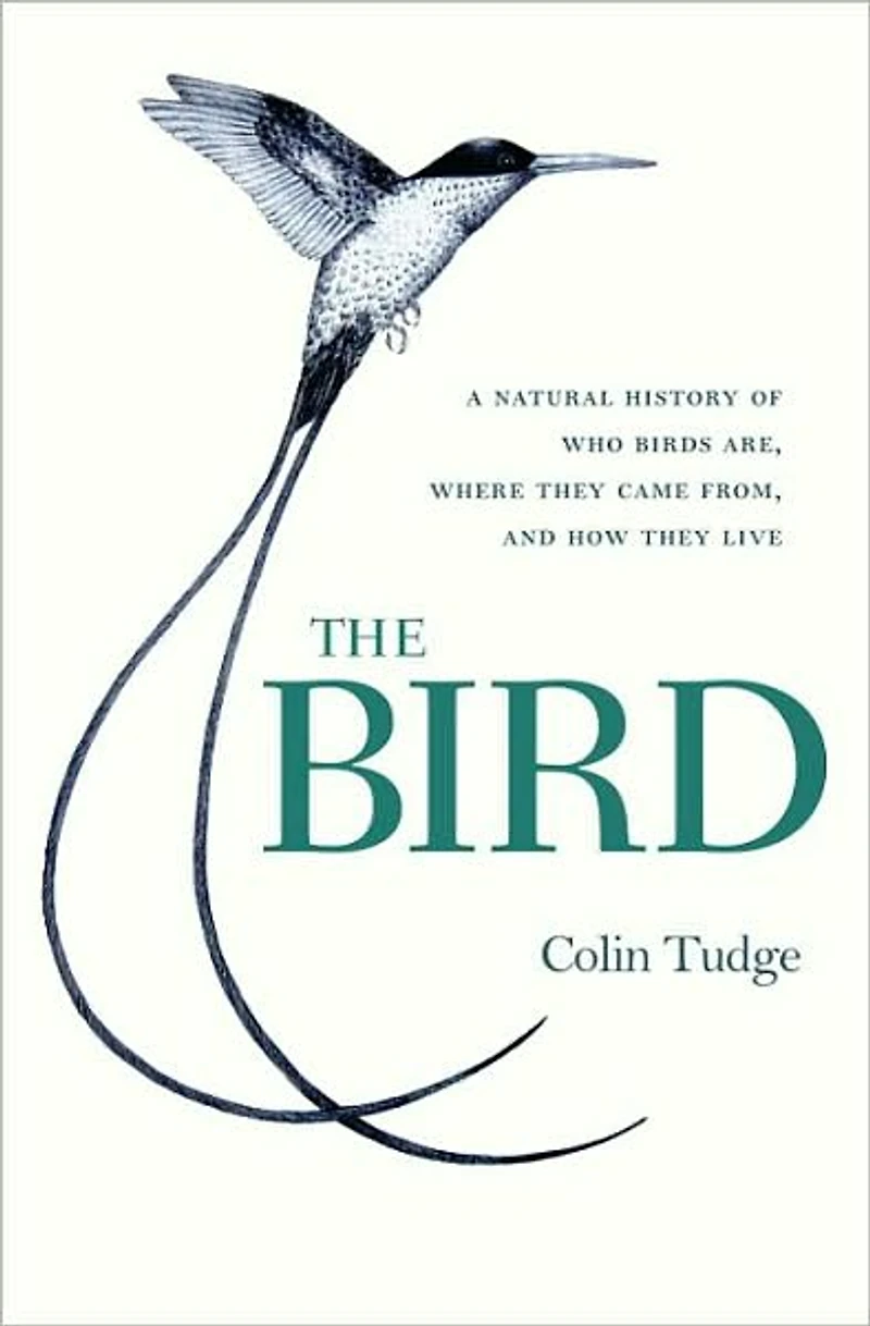 The Bird: A Natural History of Who Birds Are, Where They Came From, and How Live