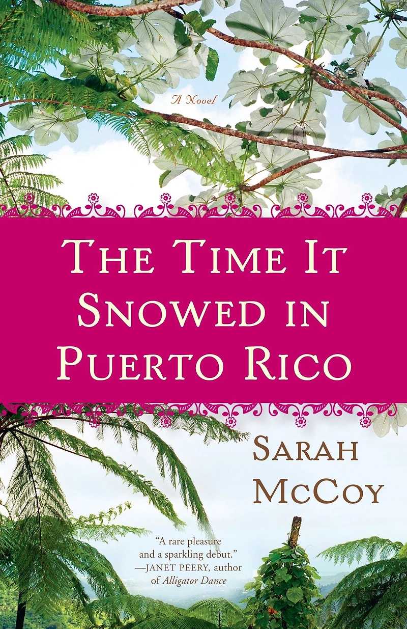 The Time It Snowed Puerto Rico: A Novel