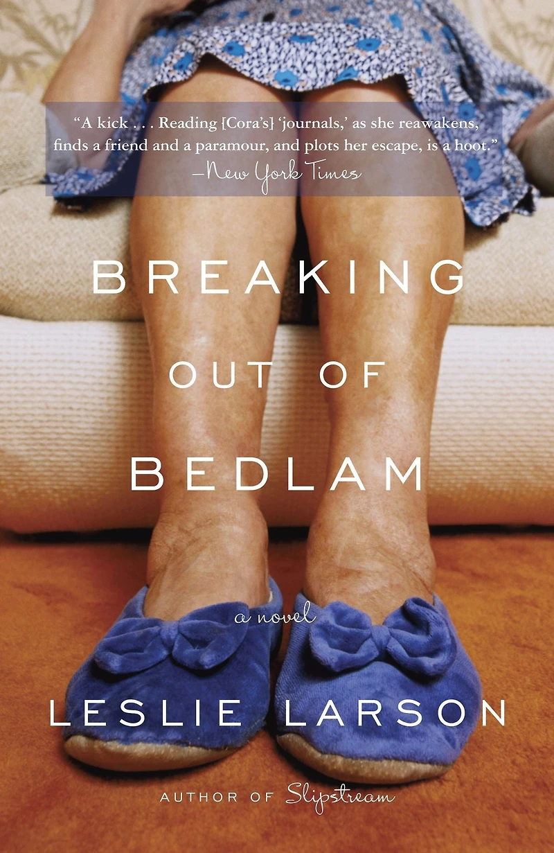 Breaking Out of Bedlam: A Novel