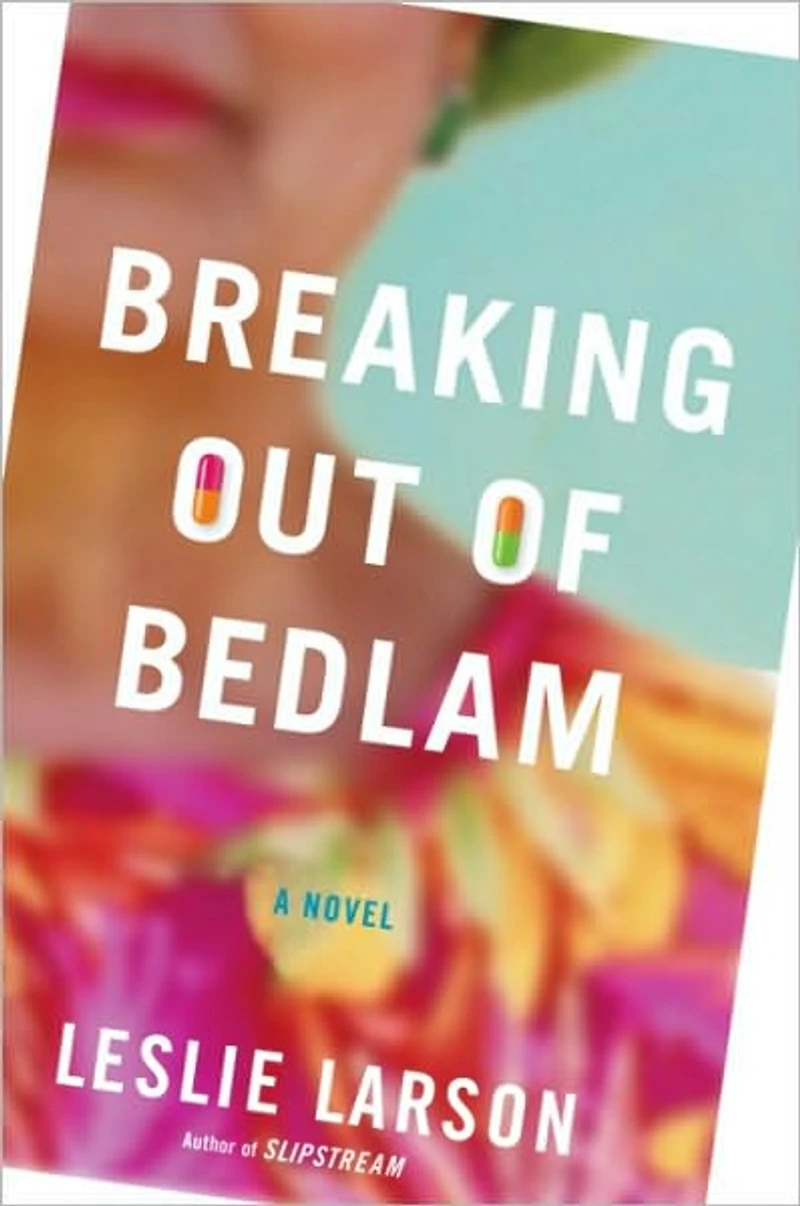 Breaking Out of Bedlam: A Novel