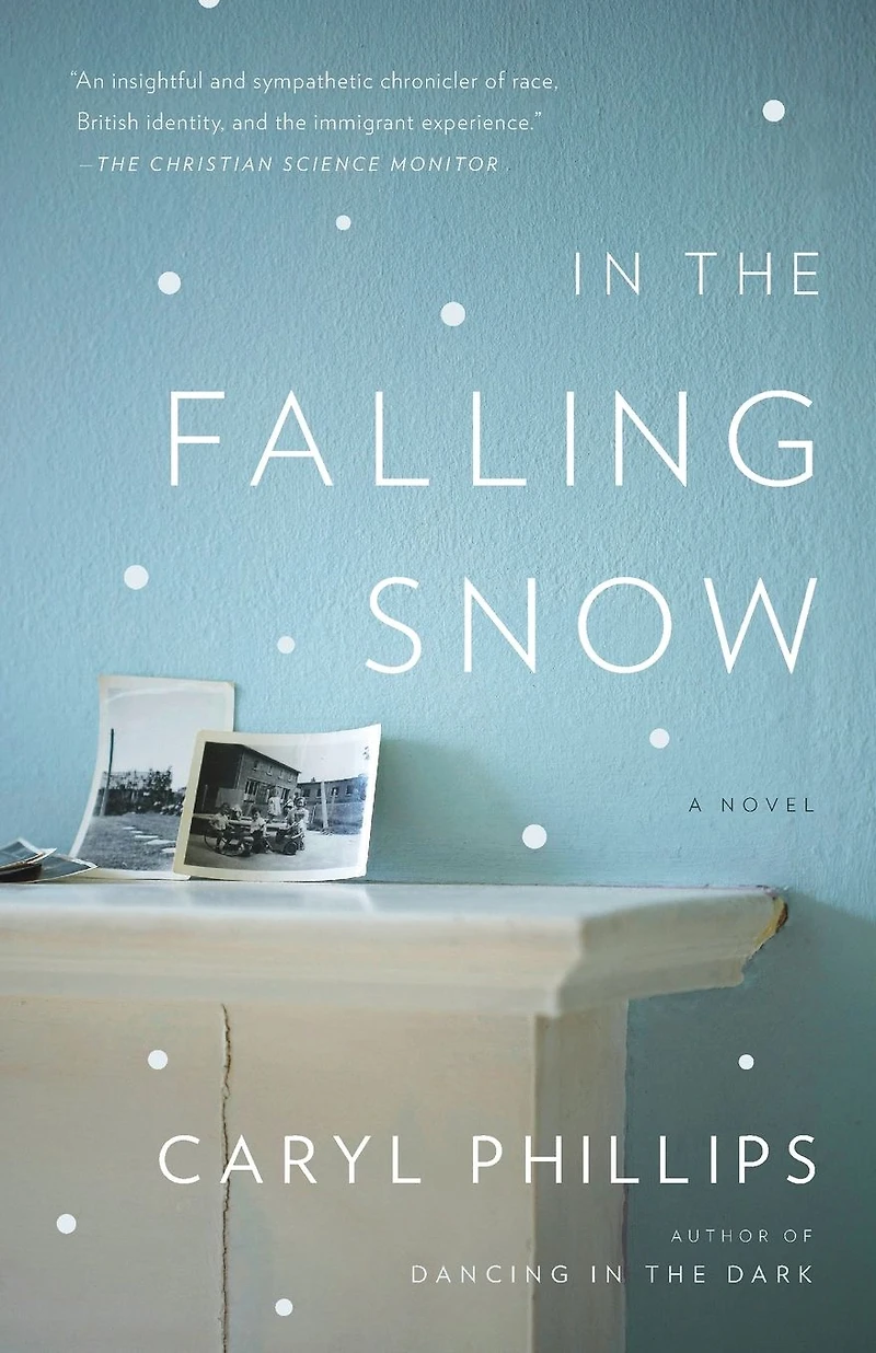 the Falling Snow