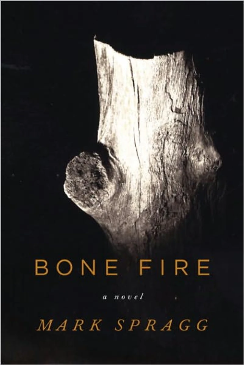 Bone Fire: A novel