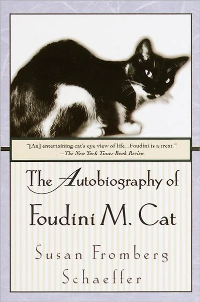 The Autobiography of Foudini M. Cat: A Novel