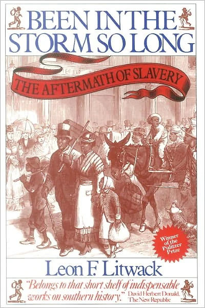 Been The Storm So Long (Pulitzer Prize Winner): Aftermath of Slavery