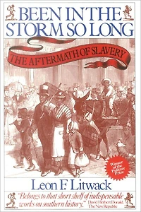 Been The Storm So Long (Pulitzer Prize Winner): Aftermath of Slavery