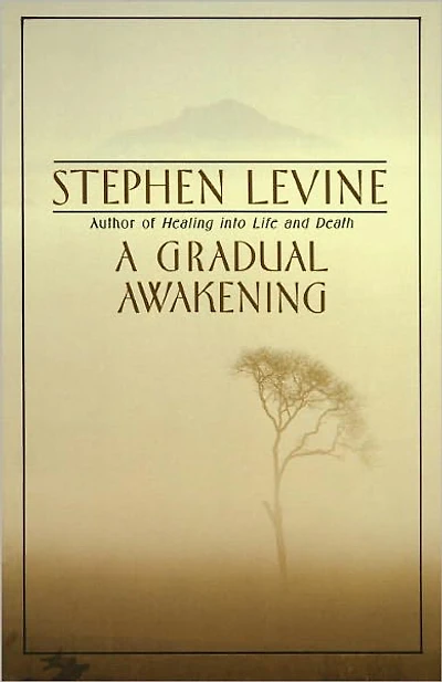 A Gradual Awakening