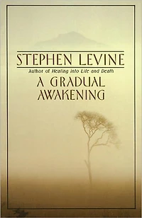 A Gradual Awakening