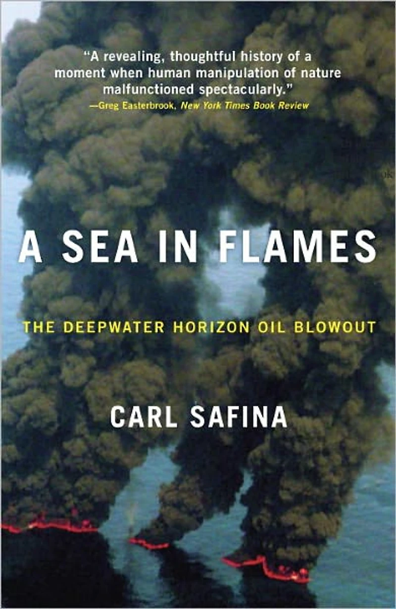 A Sea Flames: The Deepwater Horizon Oil Blowout