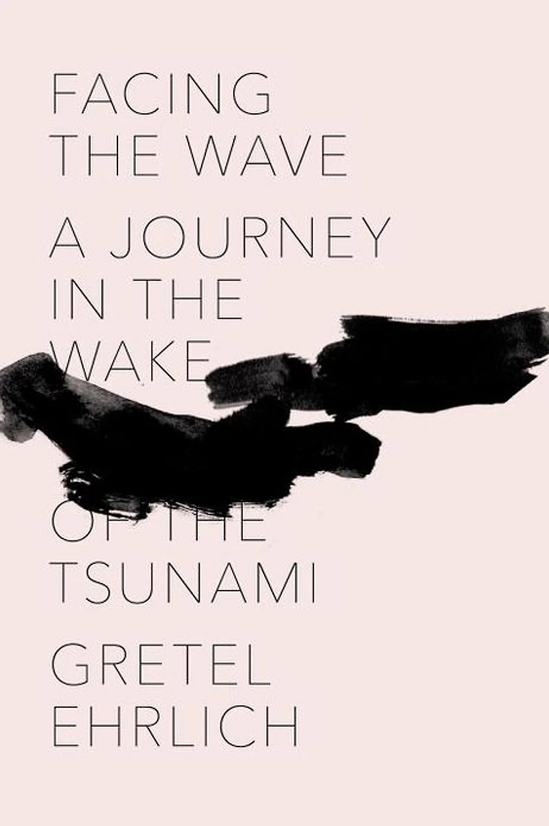 Facing the Wave: A Journey Wake of Tsunami