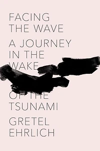 Facing the Wave: A Journey Wake of Tsunami