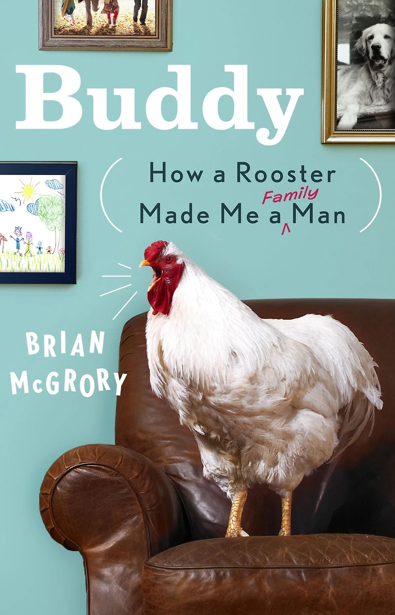 Buddy: How a Rooster Made Me Family Man