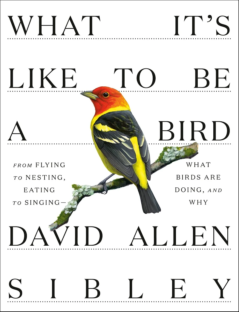 What It's Like to Be a Bird: From Flying Nesting, Eating Singing--What Birds Are Doing, and Why