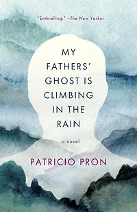 My Fathers' Ghost Is Climbing the Rain
