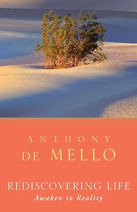 Rediscovering Life: Awaken to Reality