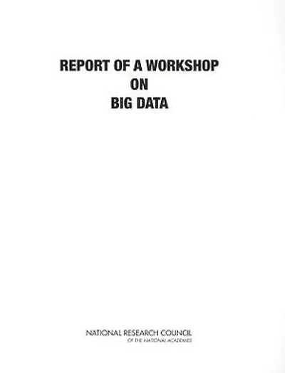 Big Data: A Workshop Report
