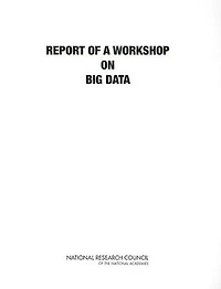 Big Data: A Workshop Report