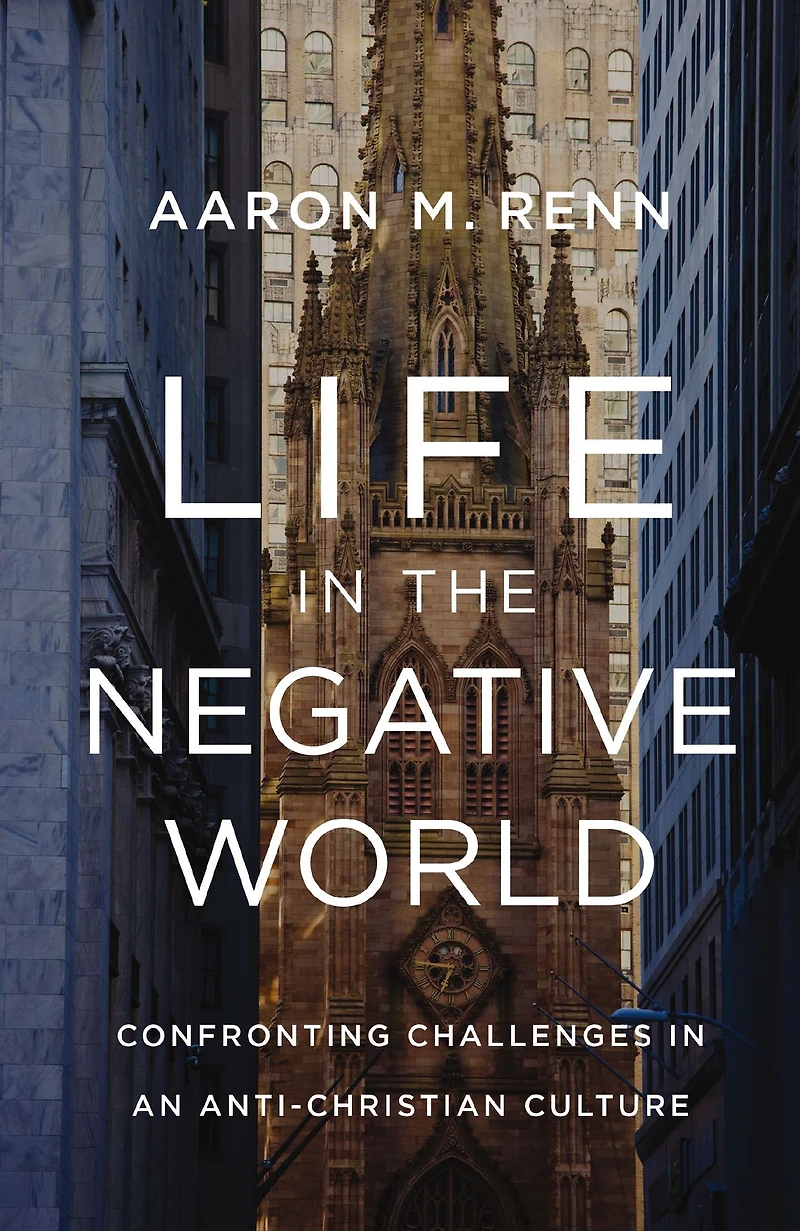 Life the Negative World: Confronting Challenges an Anti-Christian Culture