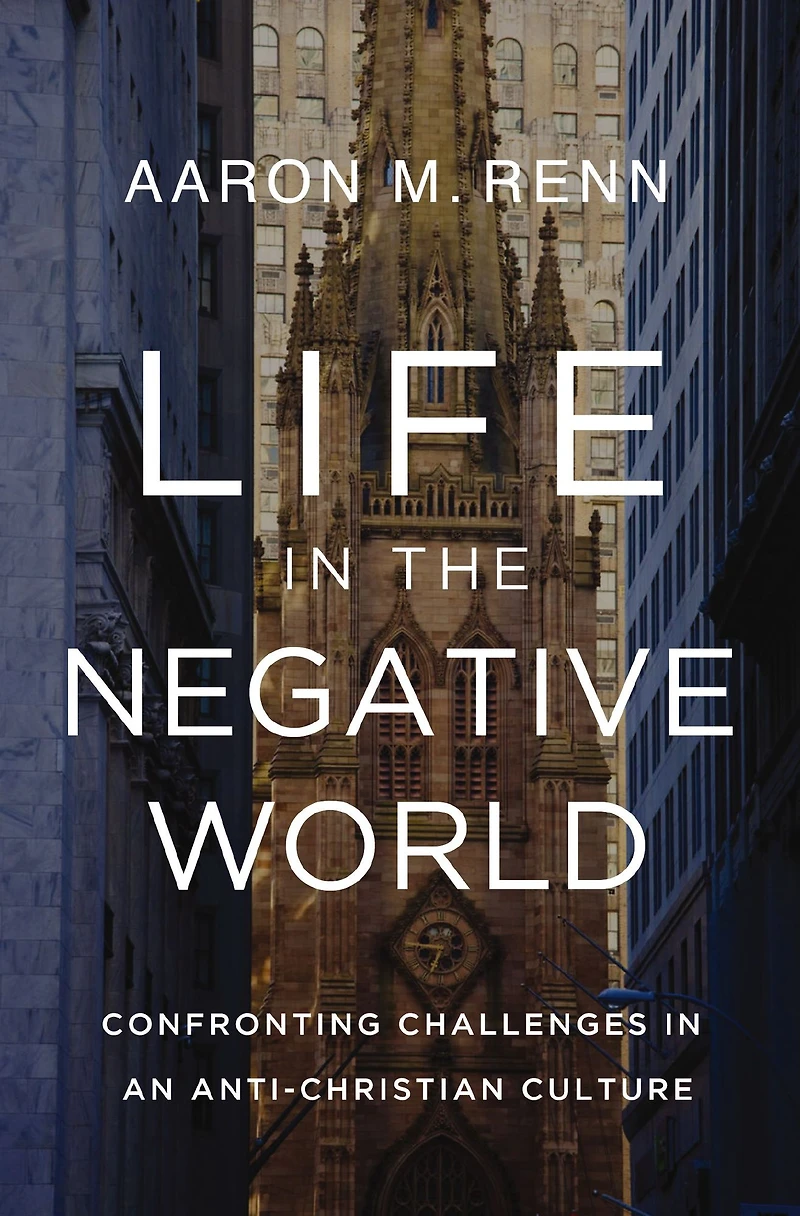 Life the Negative World: Confronting Challenges an Anti-Christian Culture