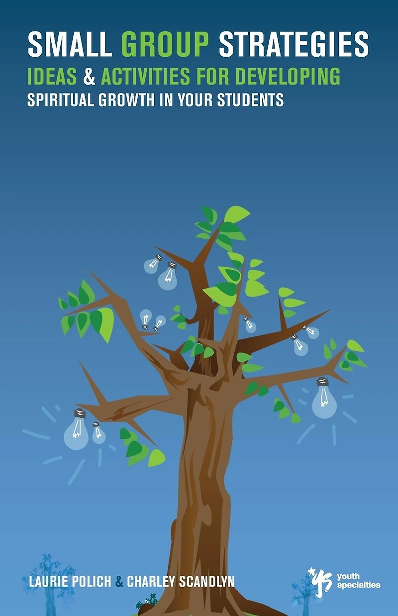 Small Group Strategies: Ideas and Activities for Developing Spiritual Growth Your Students