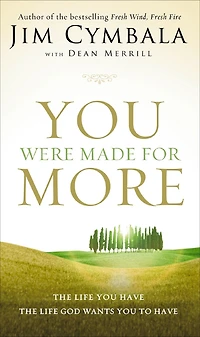 You Were Made for More: the Life Have, God Wants to Have