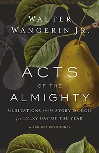 Acts of the Almighty: Meditations on Story God for Every Day Year