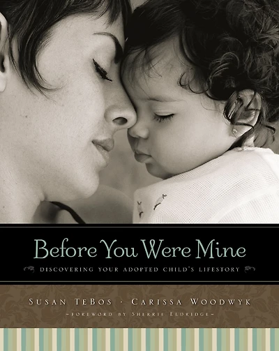 Before You Were Mine: Discovering Your Adopted Child's Lifestory