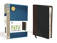 NIV Study Bible Indexed
