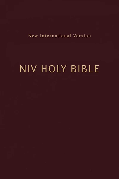 NIV, Holy Bible, Compact, Paperback, Burgundy, Comfort Print